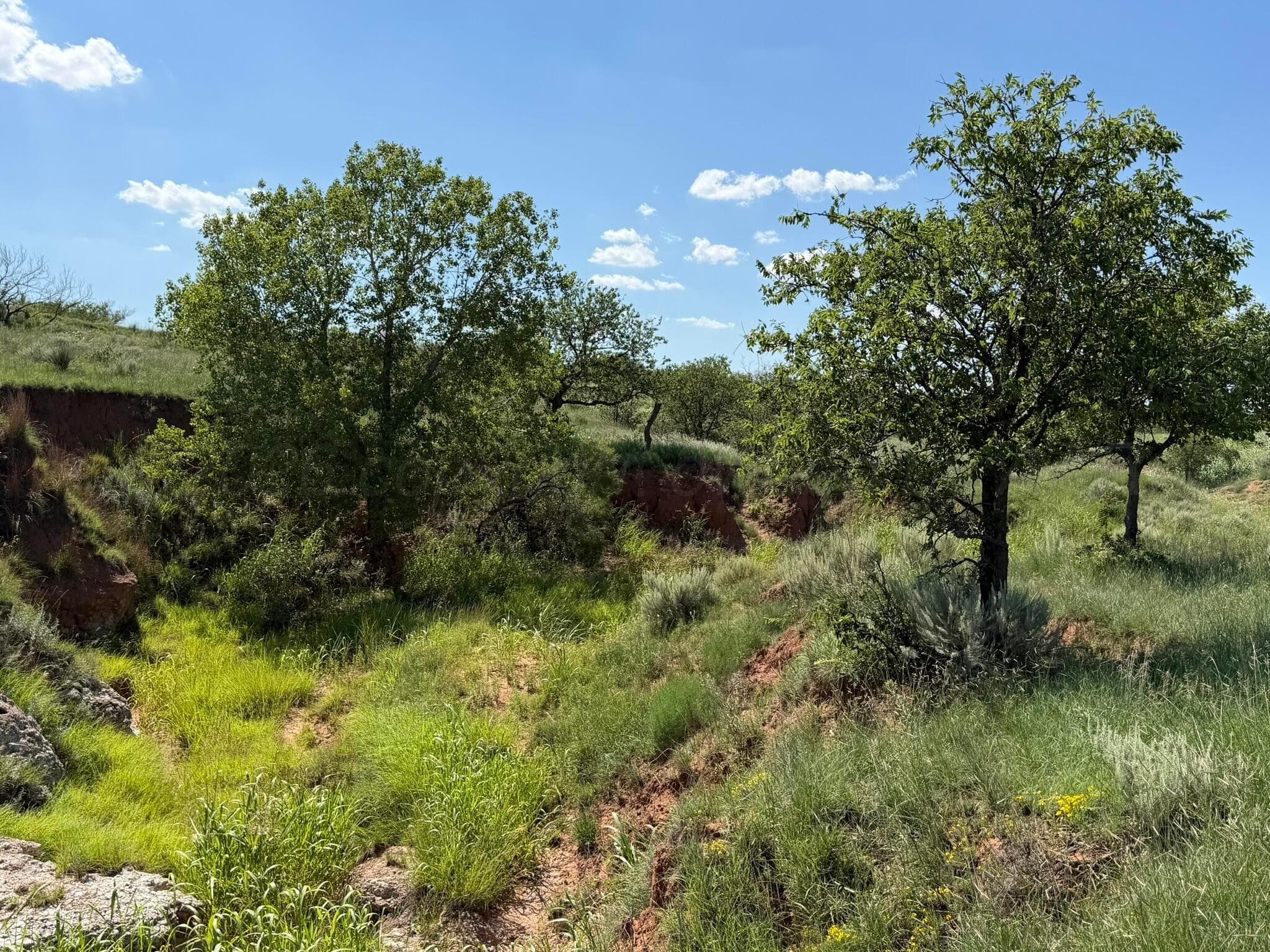 15400 County Road I, Shamrock, TX 79079, photo 31
