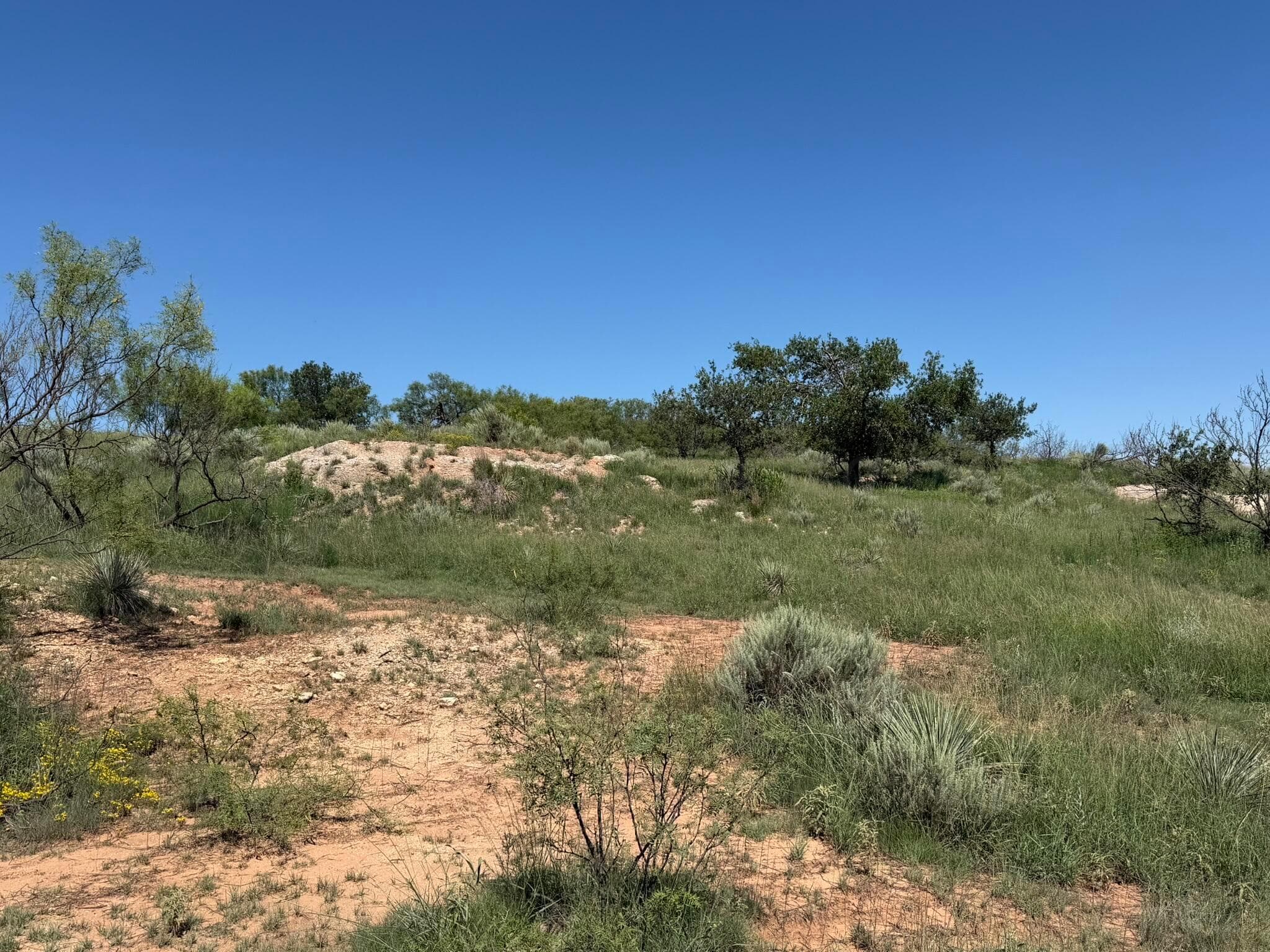 15400 County Road I, Shamrock, TX 79079, photo 32