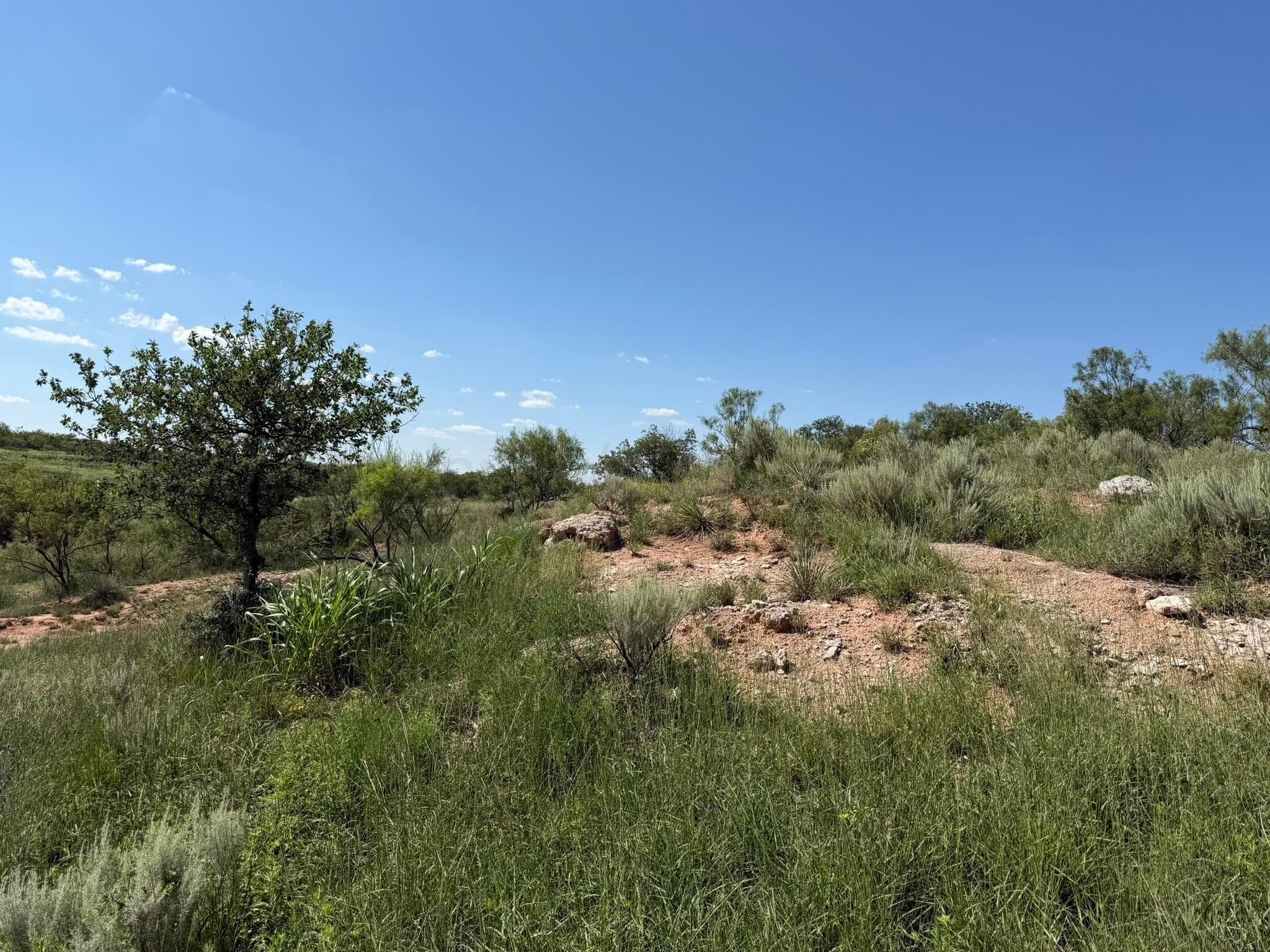 15400 County Road I, Shamrock, TX 79079, photo 33