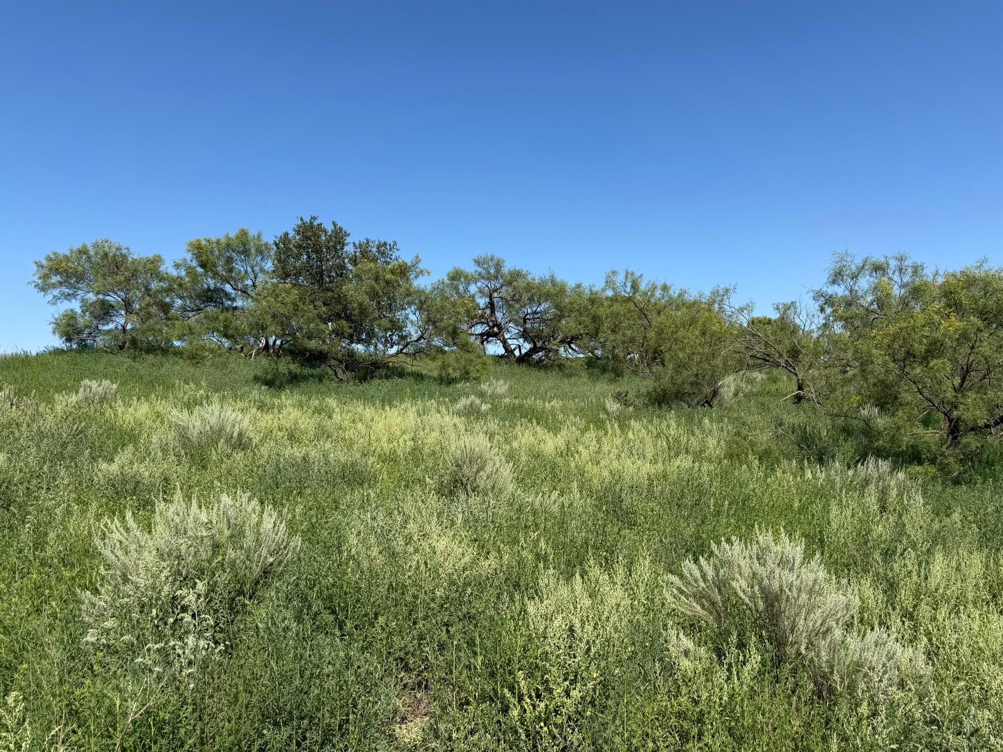 15400 County Road I, Shamrock, TX 79079, photo 34