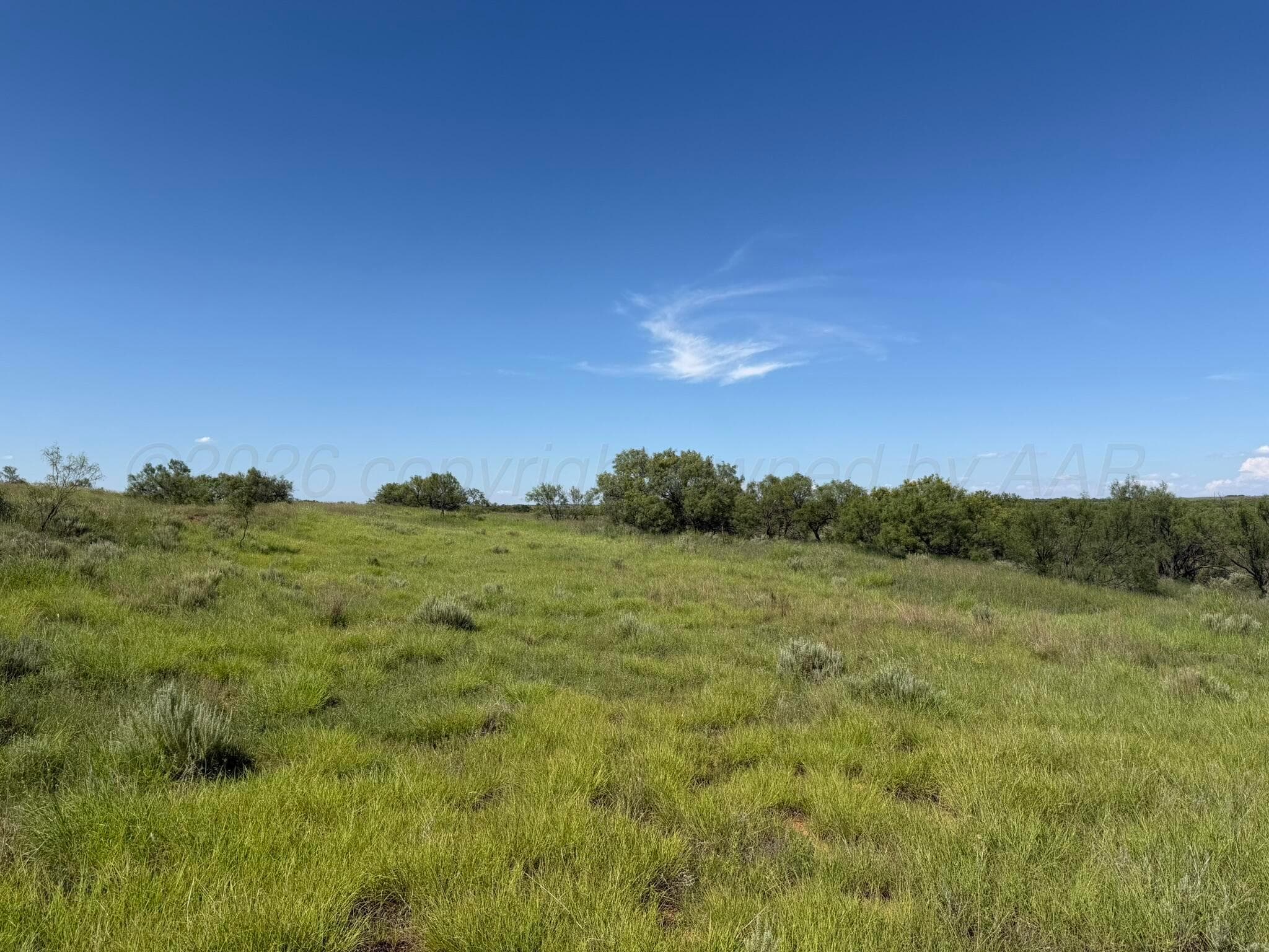 15400 County Road I, Shamrock, TX 79079, photo 36