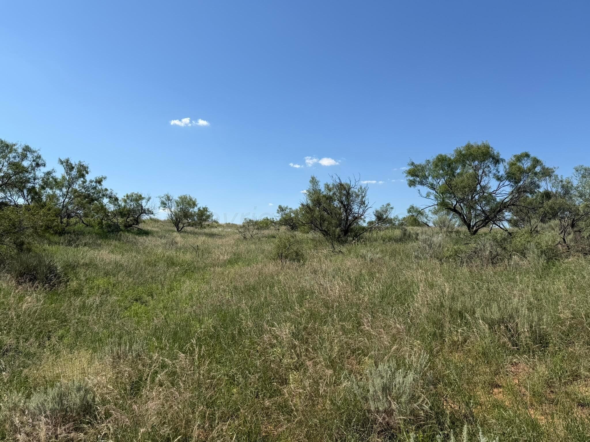 15400 County Road I, Shamrock, TX 79079, photo 37