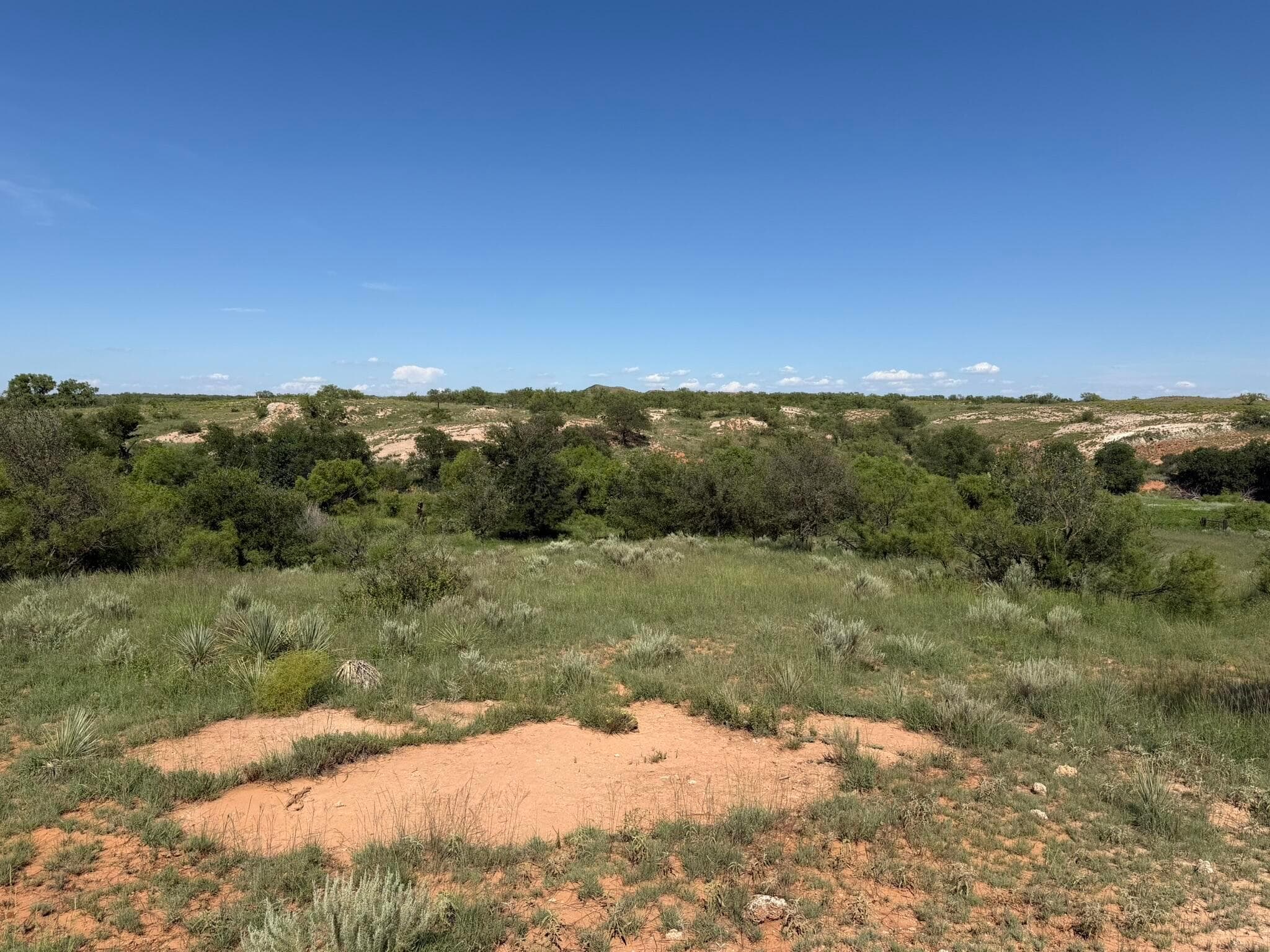 15400 County Road I, Shamrock, TX 79079, photo 38