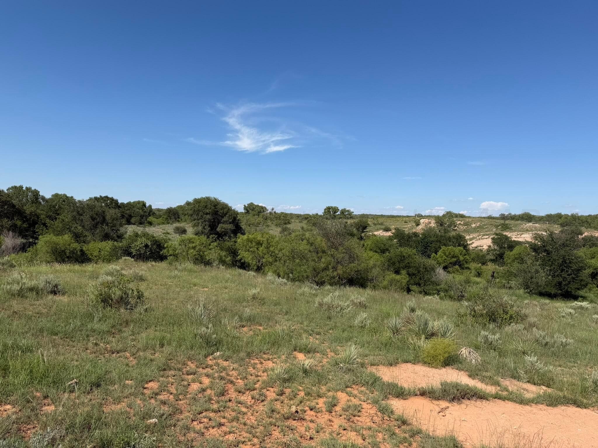 15400 County Road I, Shamrock, TX 79079, photo 39