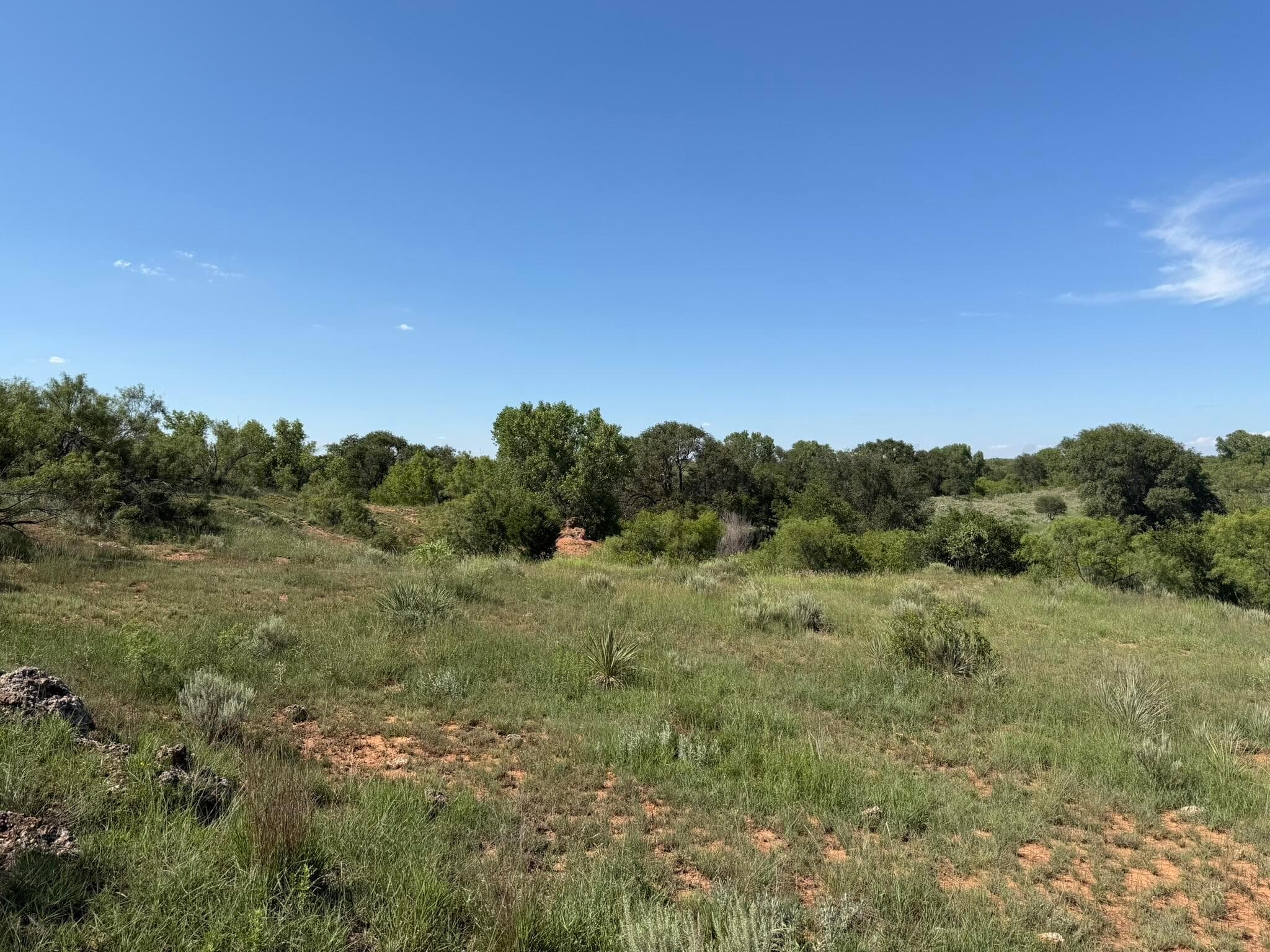 15400 County Road I, Shamrock, TX 79079, photo 40