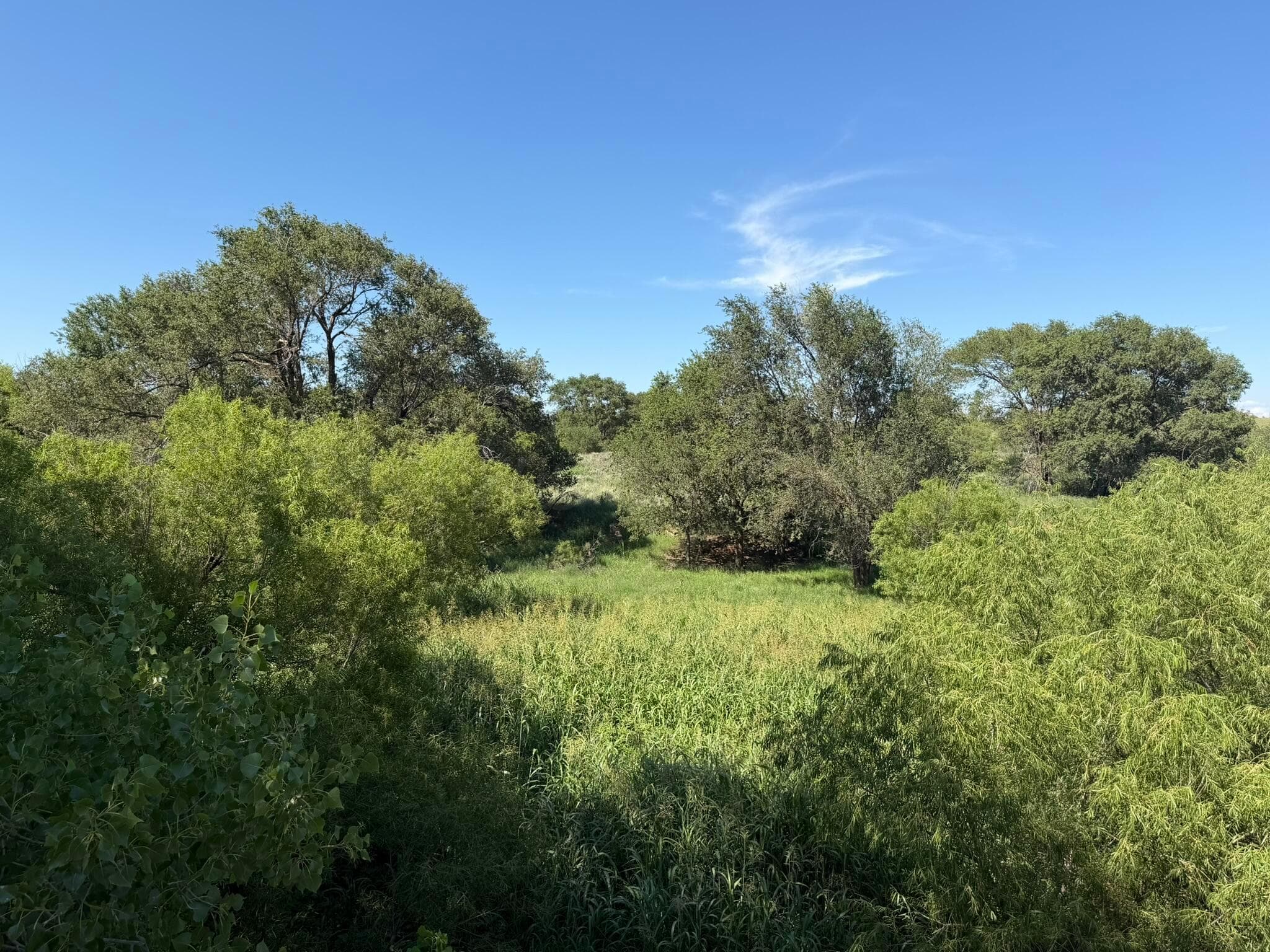 15400 County Road I, Shamrock, TX 79079, photo 44