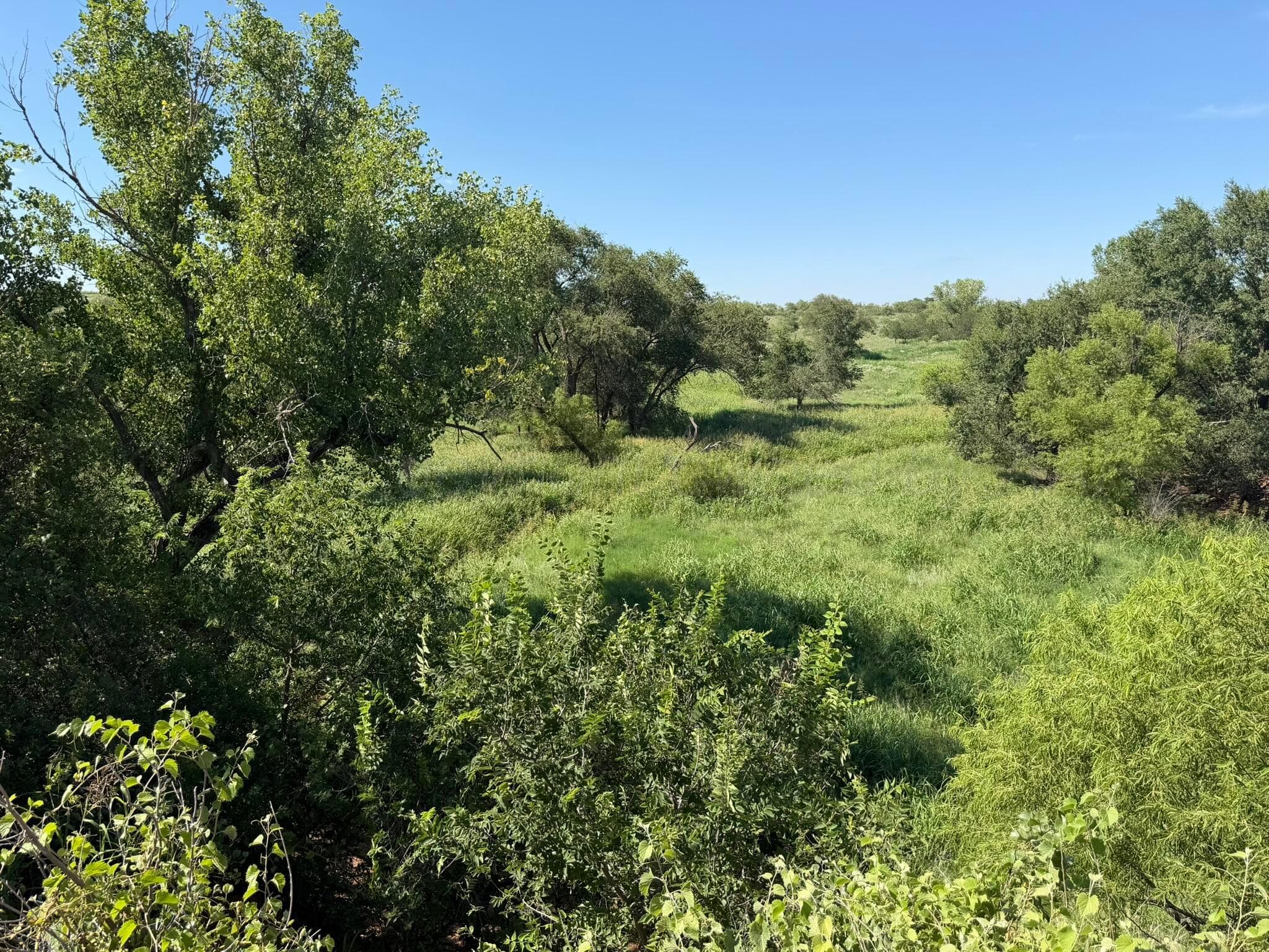 15400 County Road I, Shamrock, TX 79079, photo 46