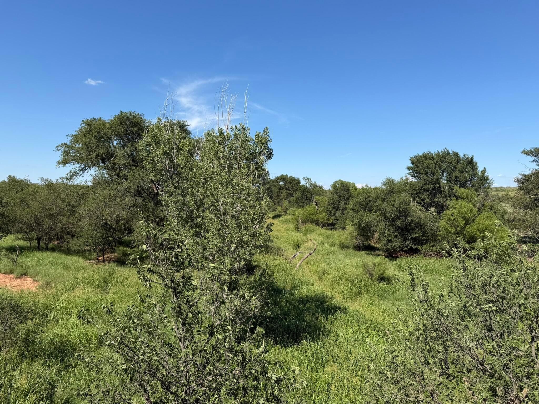 15400 County Road I, Shamrock, TX 79079, photo 49