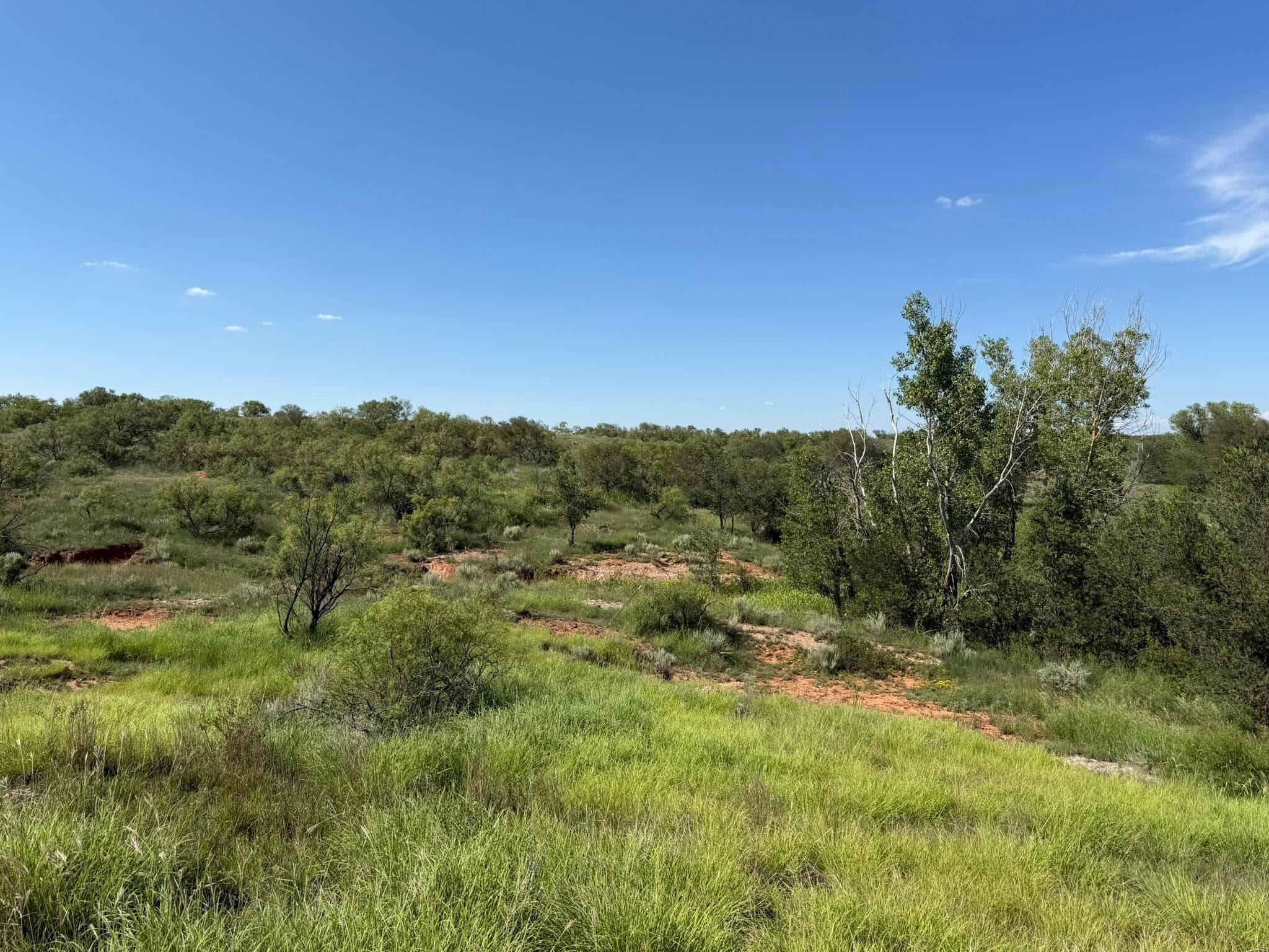 15400 County Road I, Shamrock, TX 79079, photo 50