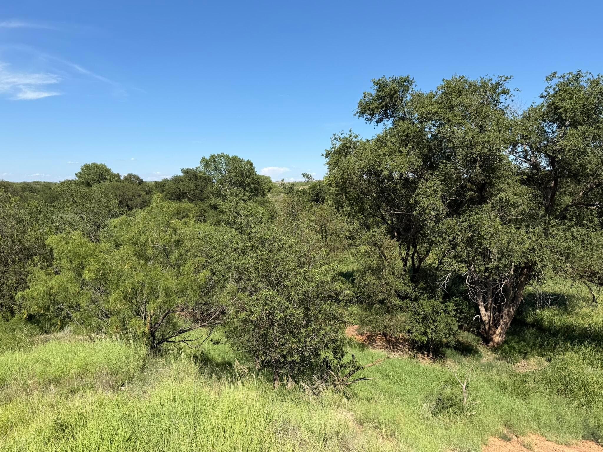 15400 County Road I, Shamrock, TX 79079, photo 51