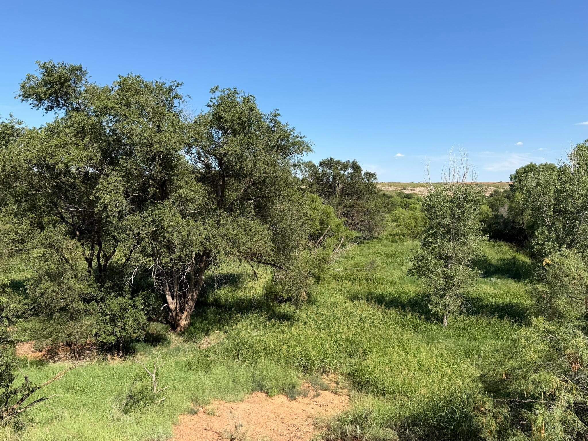 15400 County Road I, Shamrock, TX 79079, photo 52