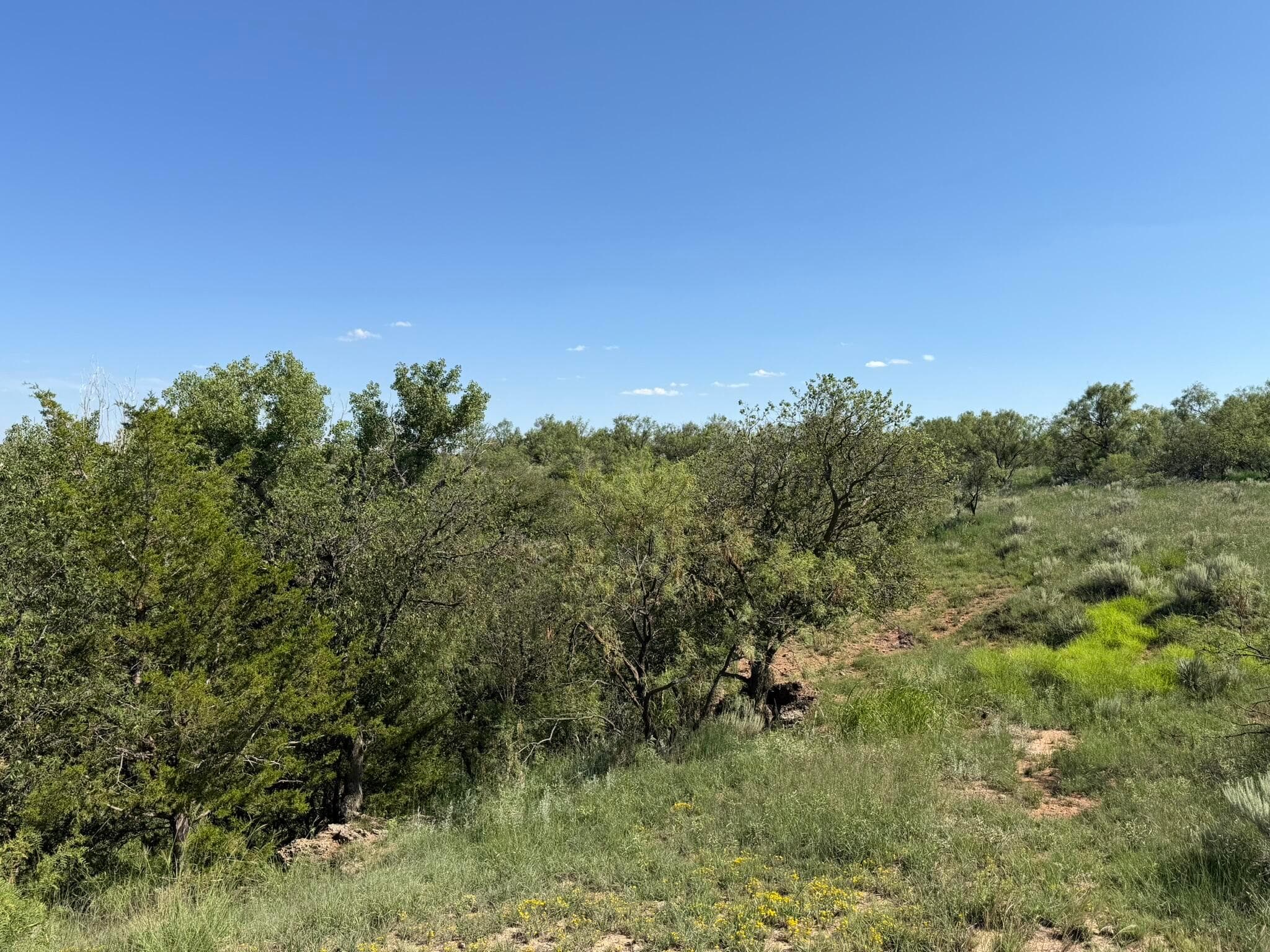 15400 County Road I, Shamrock, TX 79079, photo 53