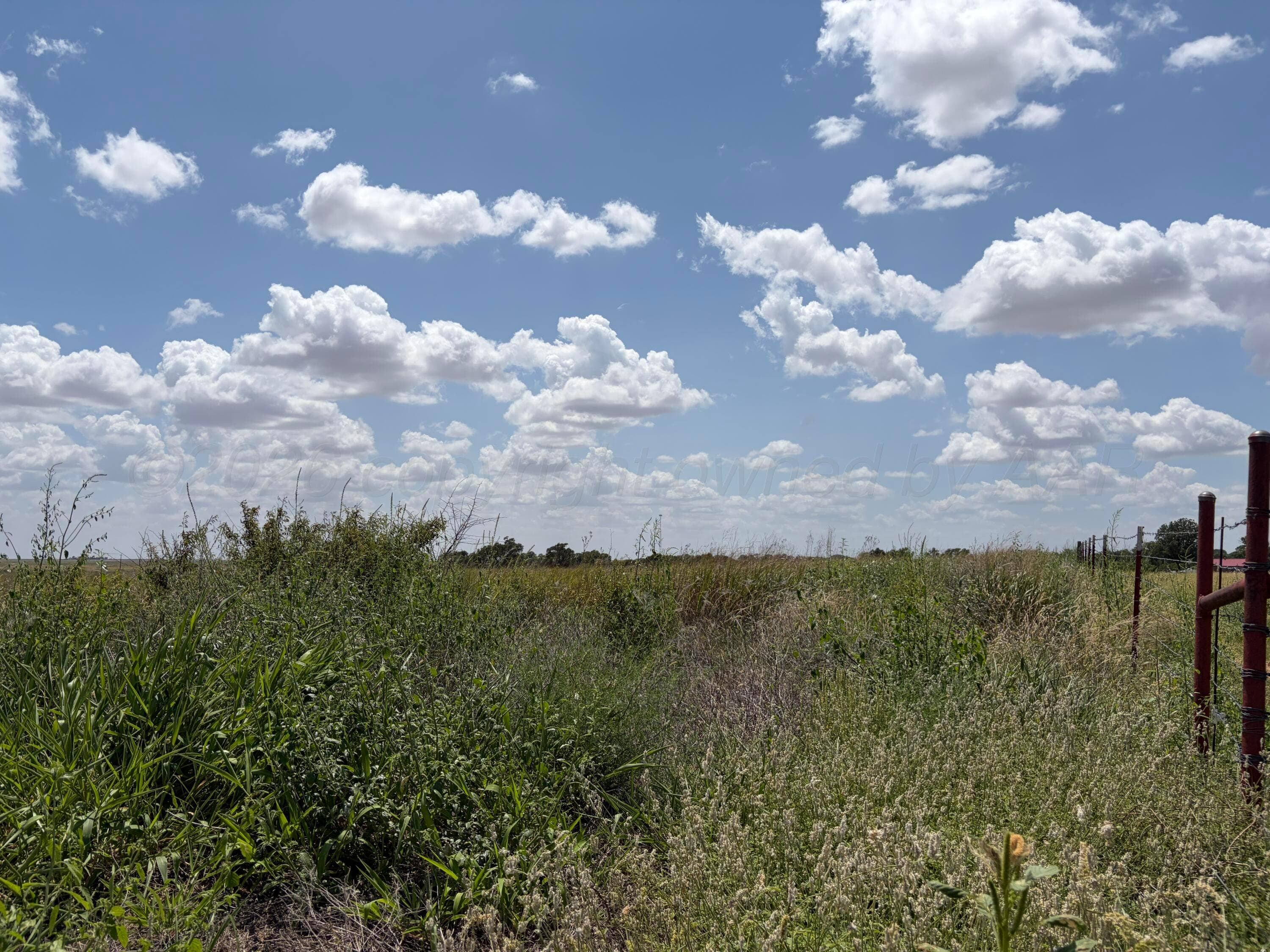 TBD State Highway 203, Wellington, TX 79095, photo 8