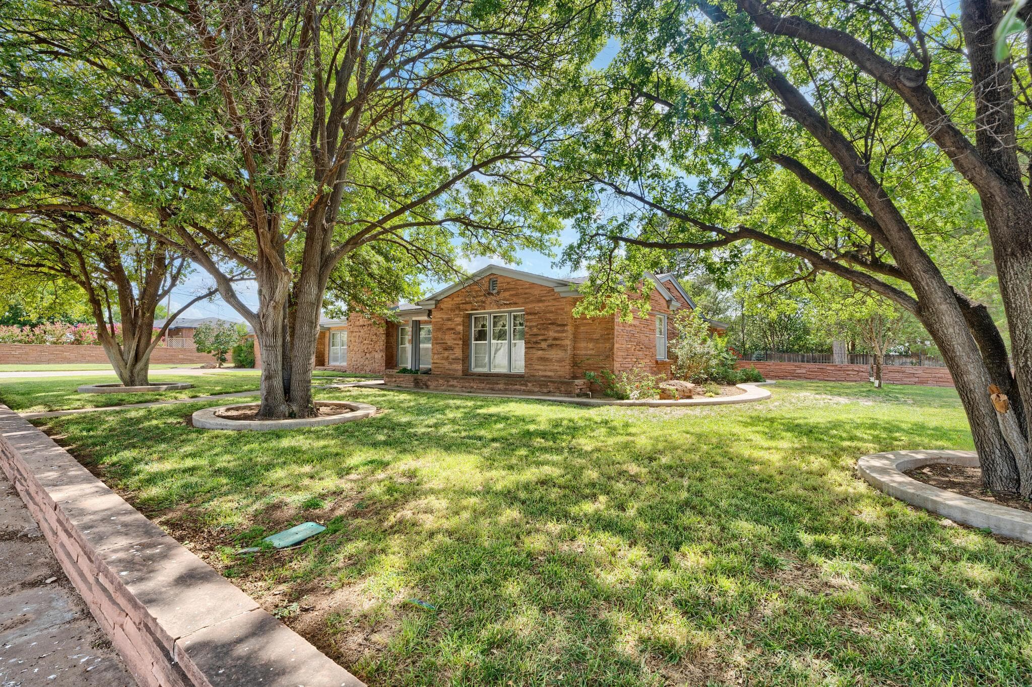 100 SW 7th Street, Dimmitt, TX 79027, photo 3