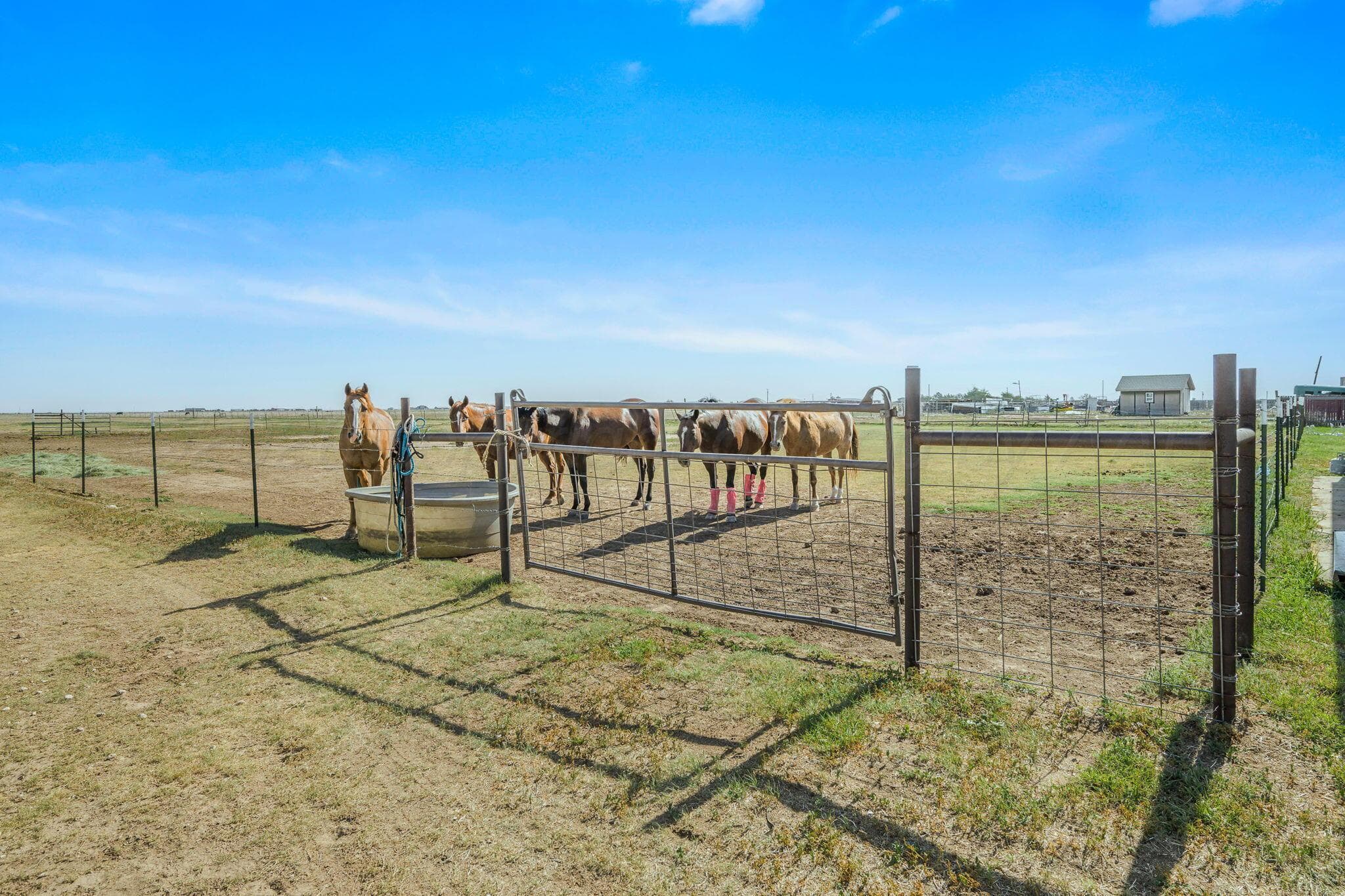 14480 FM 1062, Canyon, TX 79015-7222, photo 30
