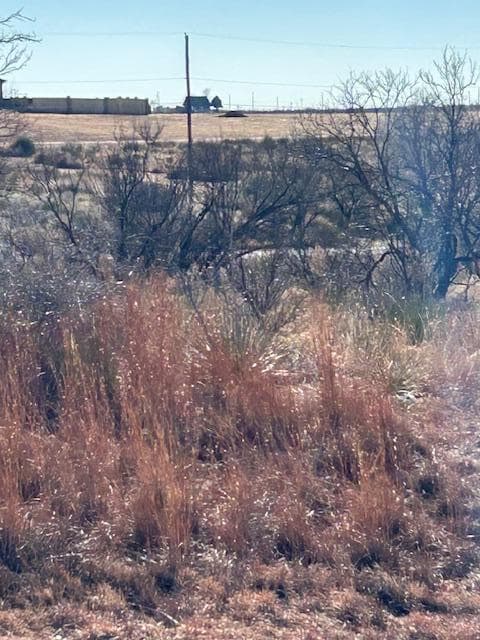 Elizabeth Street, Fritch, TX 79036, photo 6