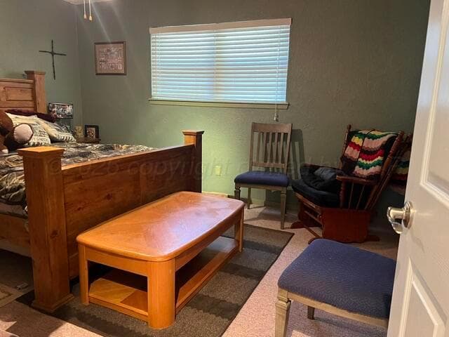 312 S Dahlia Street, Booker, TX 79005, photo 9