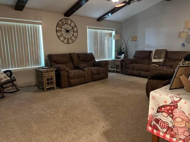 312 S Dahlia Street, Booker, TX 79005, photo 4