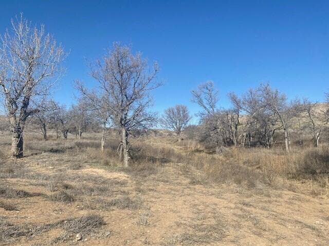 18900 ROCKY CREEK Drive, Canyon, TX 79015, photo 16