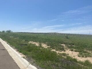 18901 COOL CREEK Drive, Canyon, TX 79015, photo 3