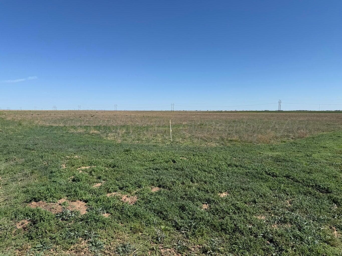 4200 Blackbird Road, Amarillo, TX 79108, photo 4