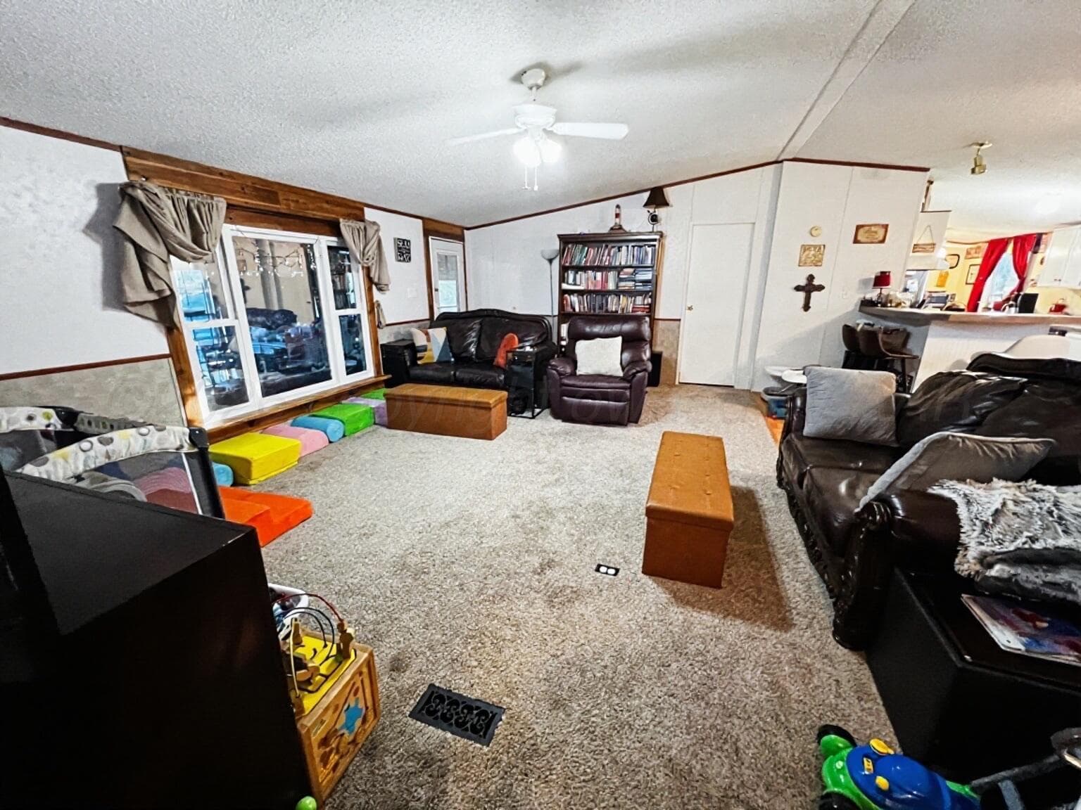 110 E Lobo Drive, Silverton, TX 79257, photo 8