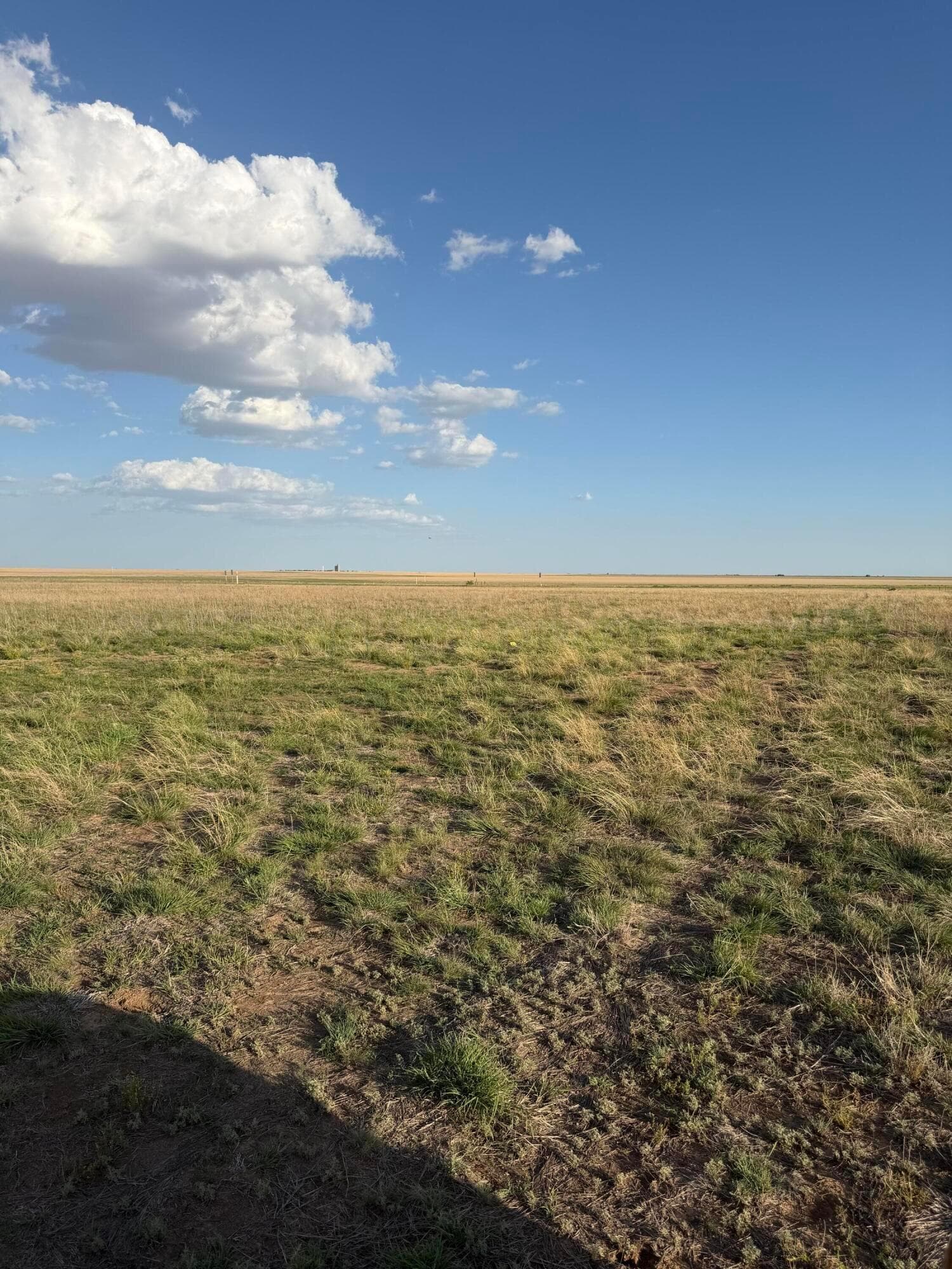 COUNTY RD 305, Amarillo, TX 79108
