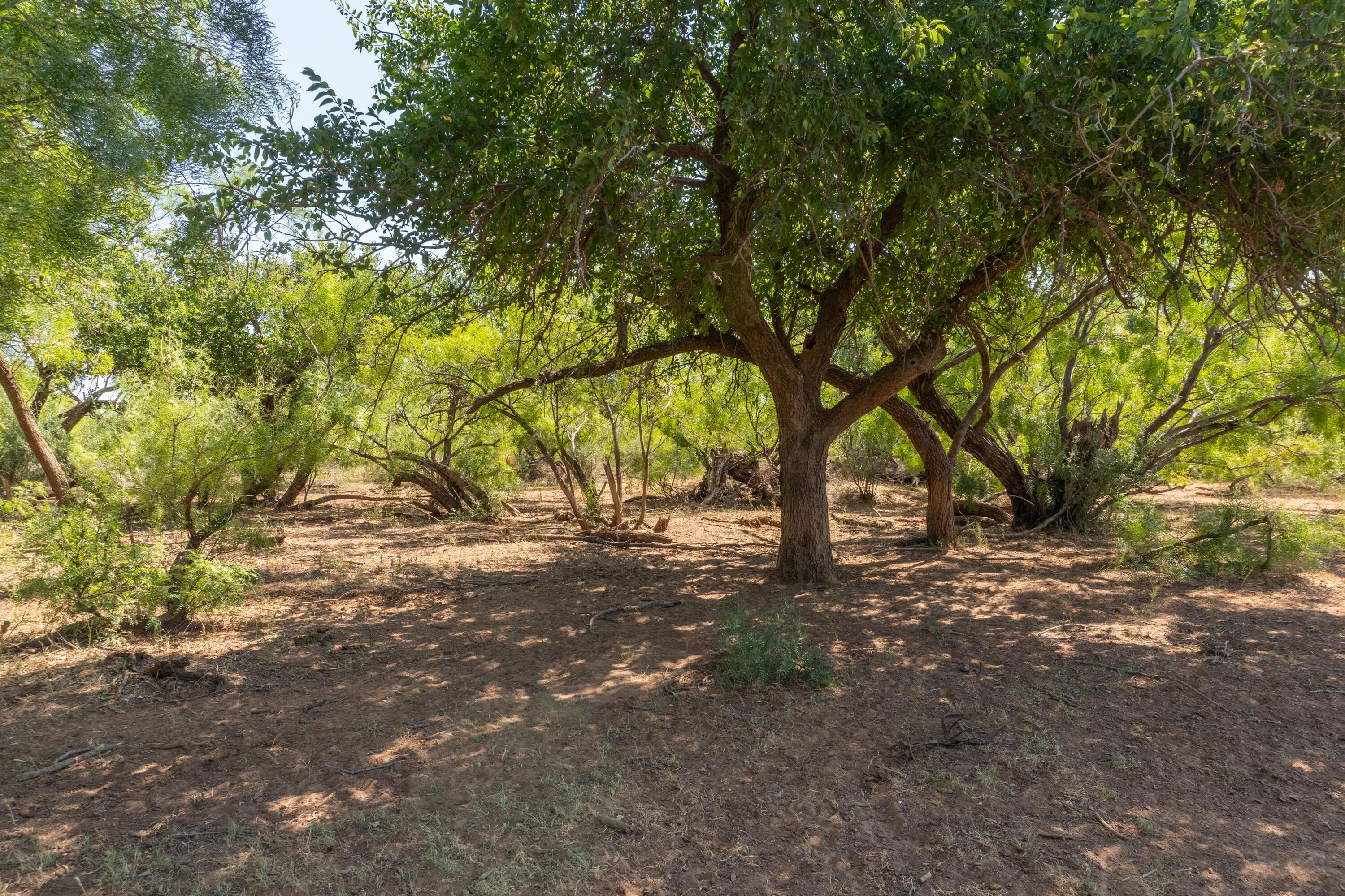 TBD County Road M, Childress, TX 79201, photo 35