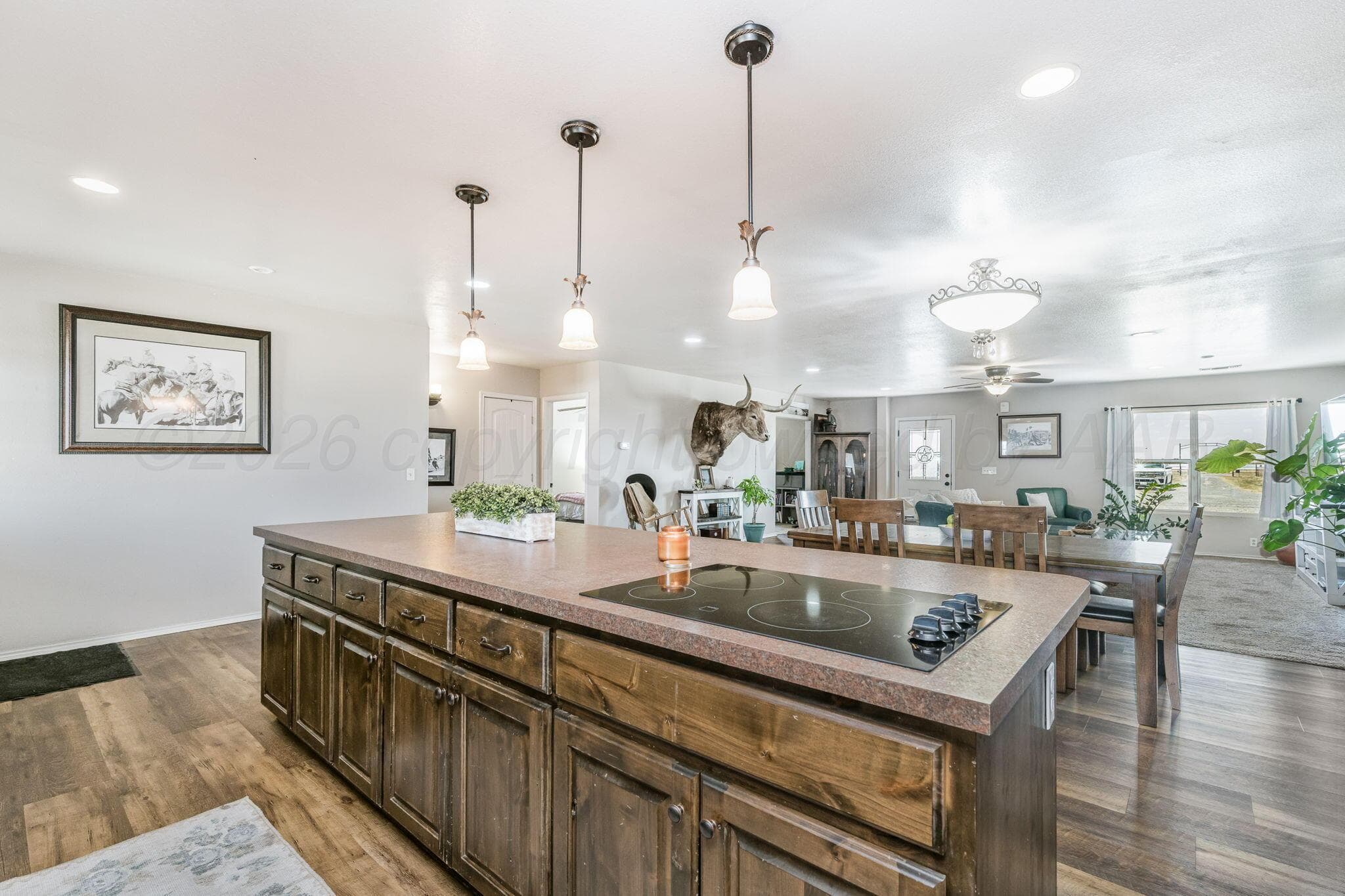 13210 W FM 1705, Happy, TX 79042-3239, photo 26