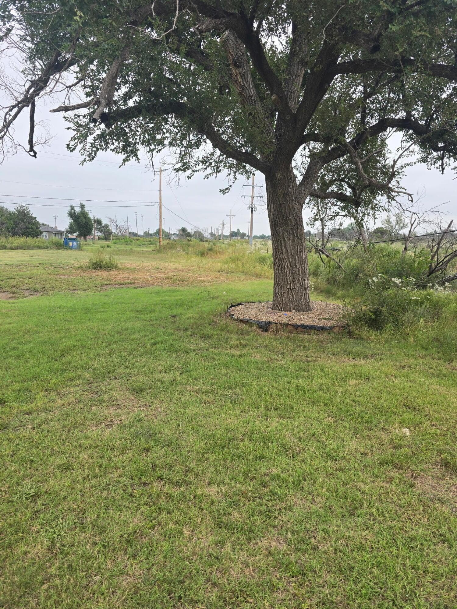 1005 S Hoyne Avenue, Fritch, TX 79036, photo 5