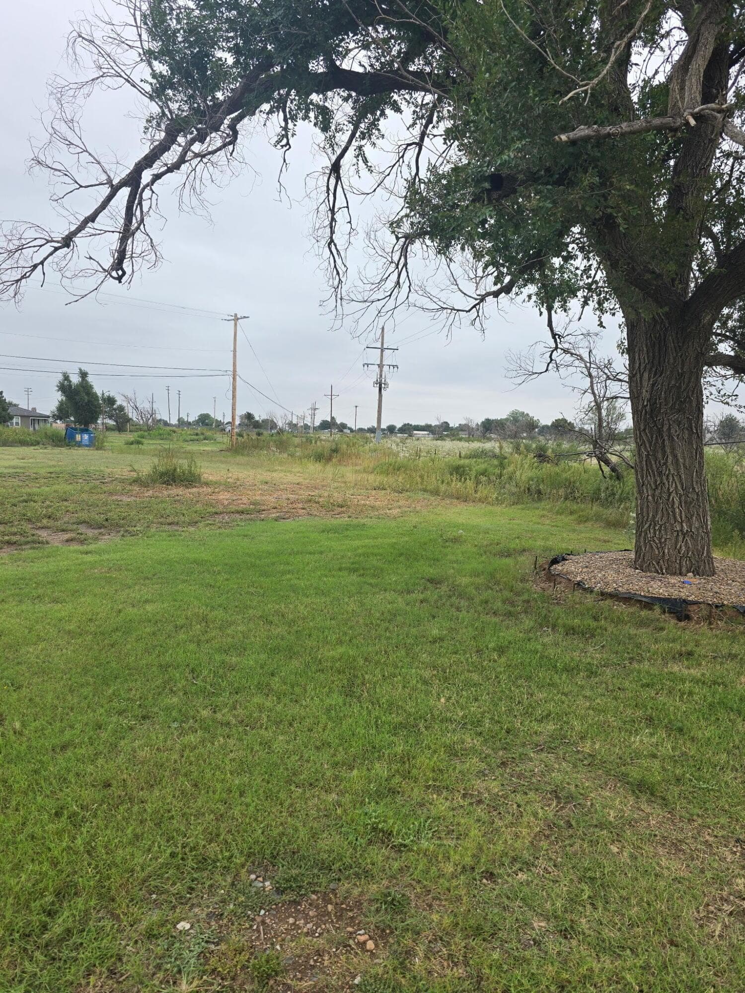 1005 S Hoyne Avenue, Fritch, TX 79036, photo 6