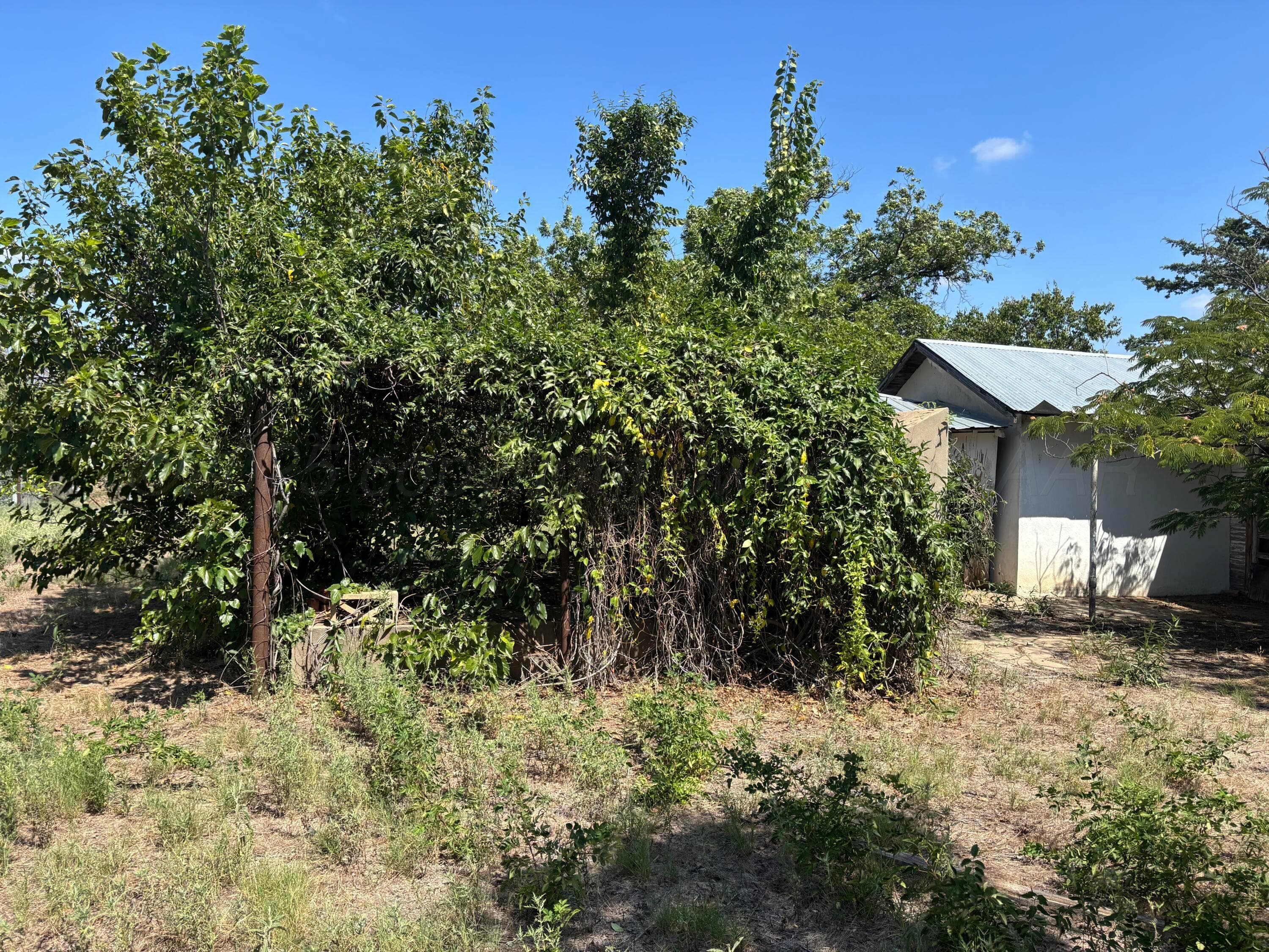 607 Clarendon Street, McLean, TX 79057, photo 9