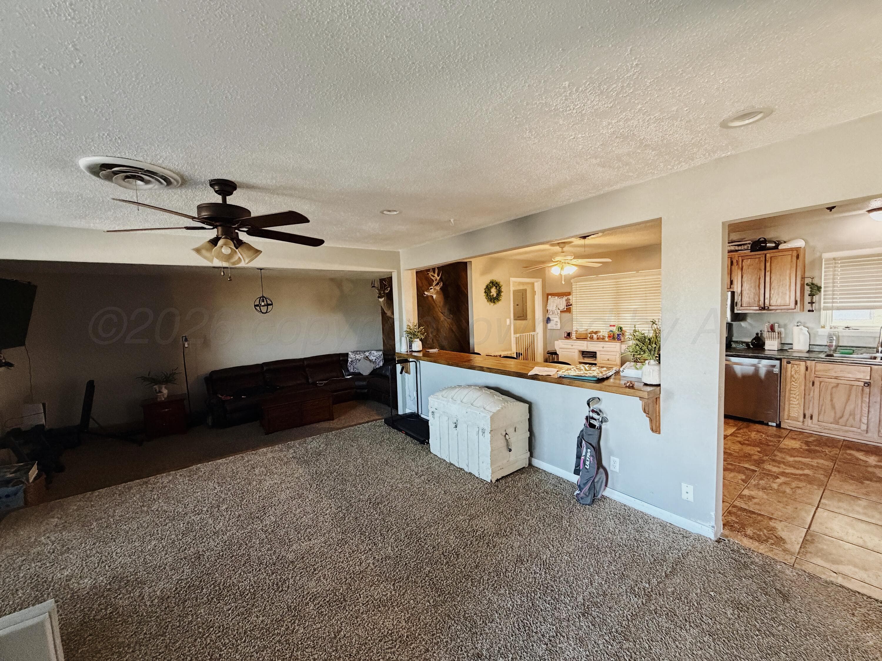 13065 County Road 24, Spearman, TX 79081, photo 4