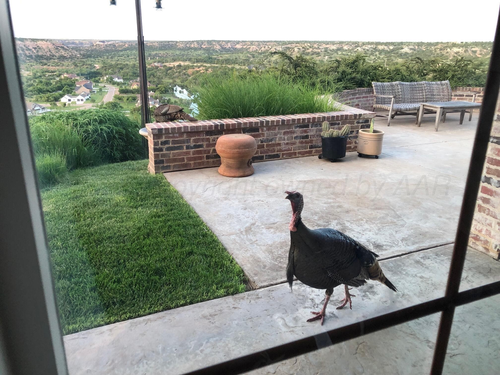 103 RANCH Parkway, Canyon, TX 79015-6918, photo 96