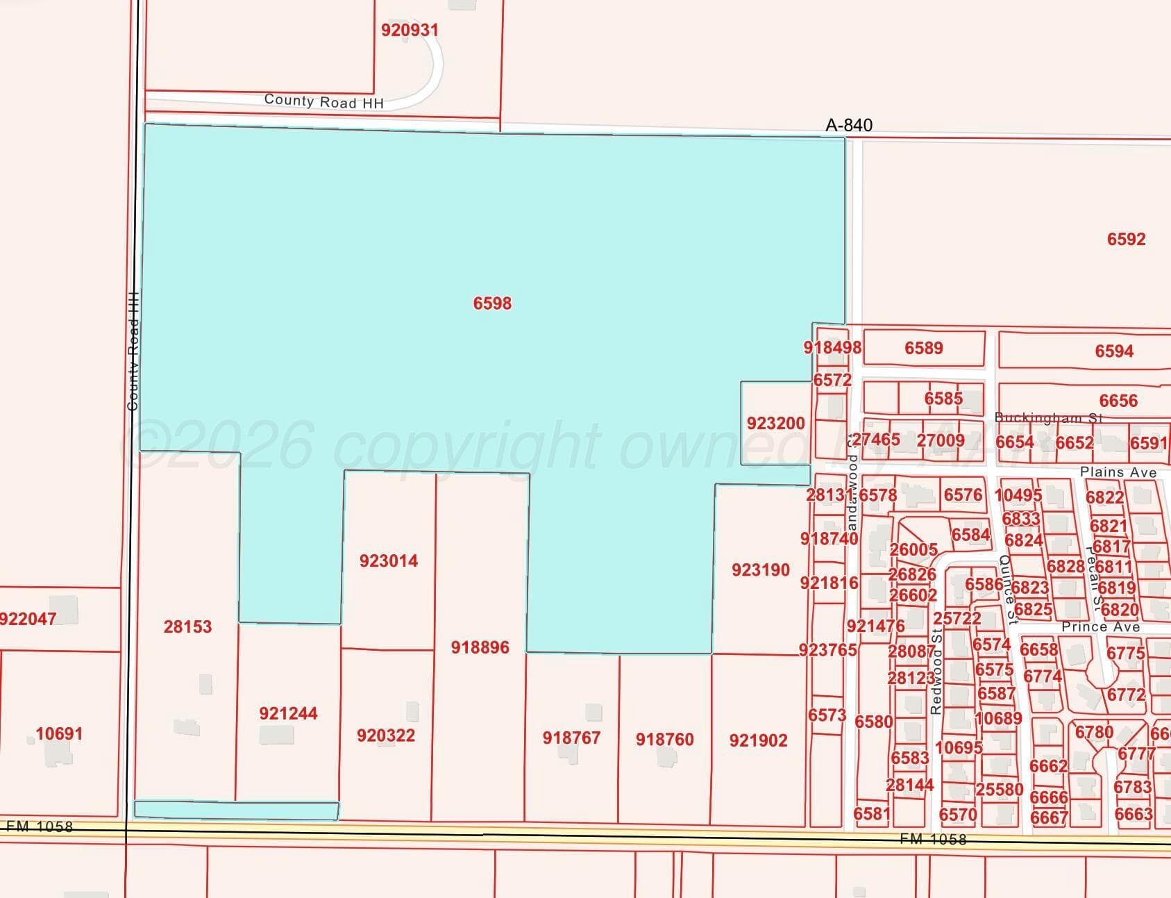 Farm To Market Road 1058, Hereford, TX 79045, photo 10