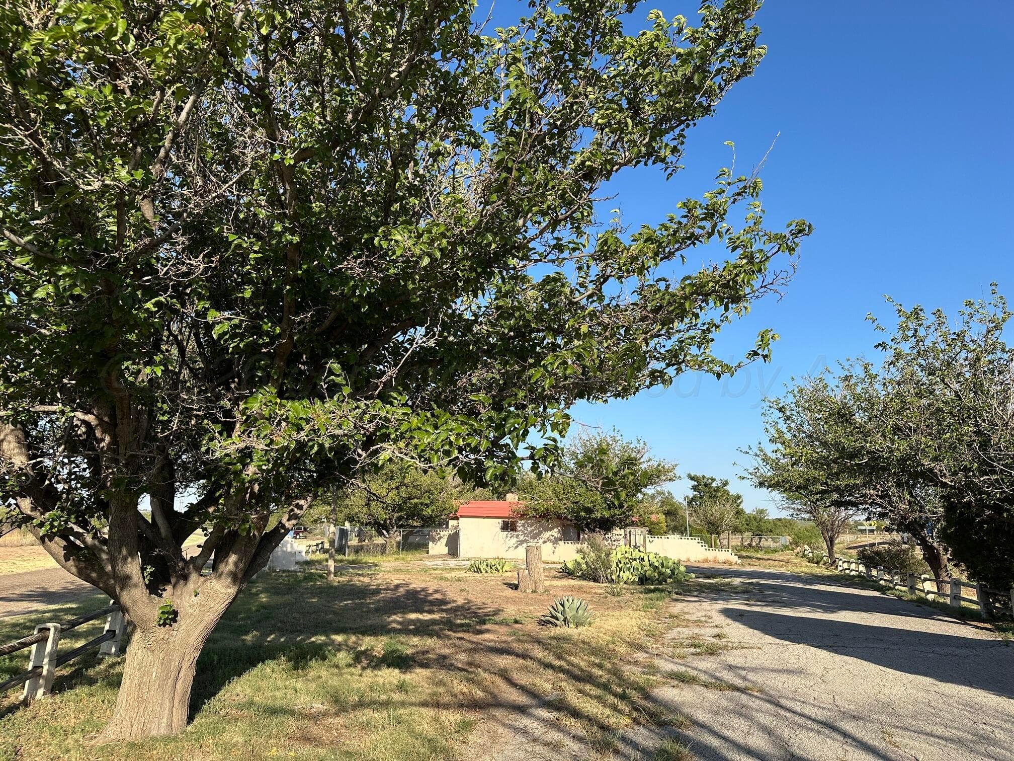 8911 MELFRANK Drive, Amarillo, TX 79124-5726, photo 10