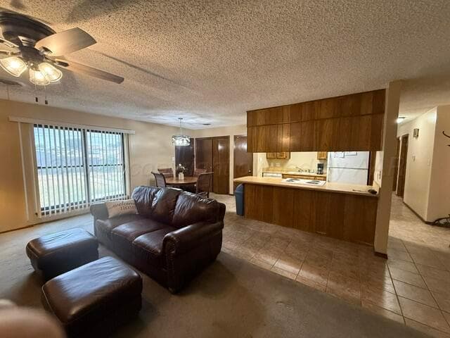 313 Calle Questa, Fritch, TX 79036, photo 9
