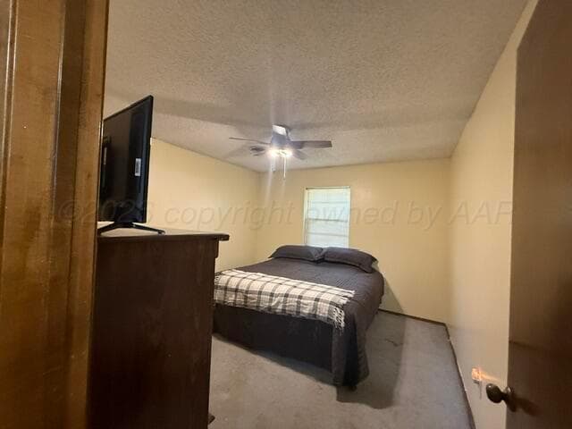 313 Calle Questa, Fritch, TX 79036, photo 15