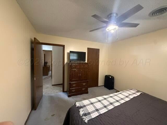 313 Calle Questa, Fritch, TX 79036, photo 16