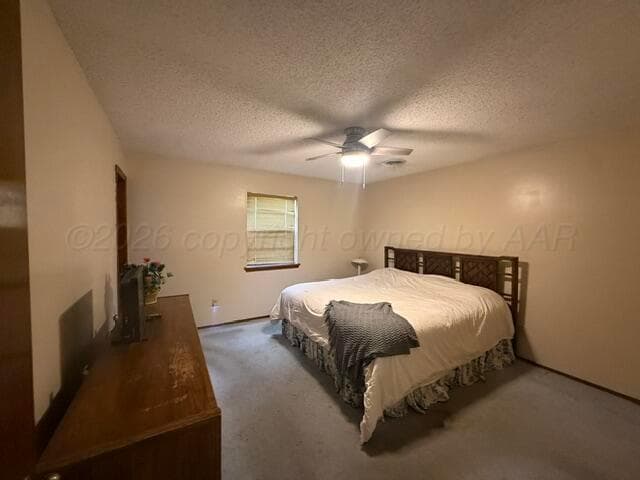 313 Calle Questa, Fritch, TX 79036, photo 18