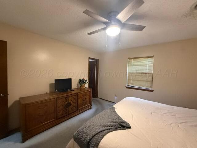 313 Calle Questa, Fritch, TX 79036, photo 19