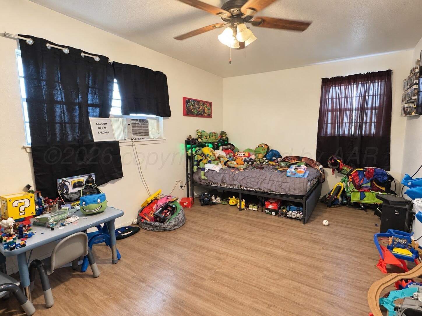 1017 NW 9th Street, Tulia, TX 79088, photo 7