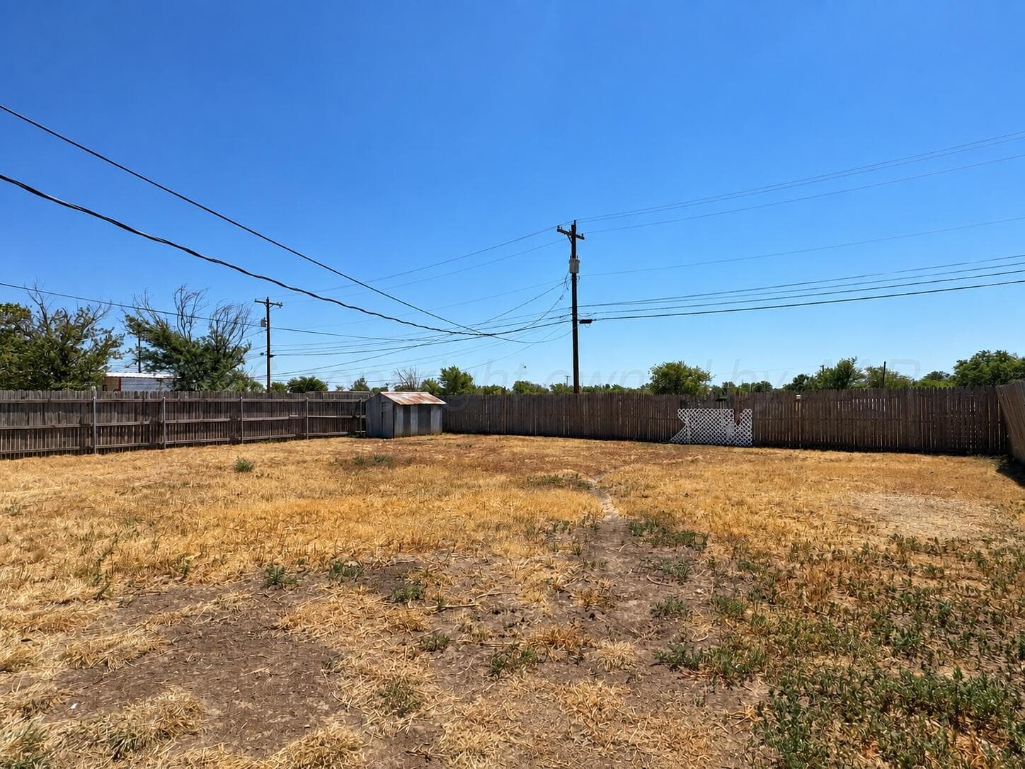1017 NW 9th Street, Tulia, TX 79088, photo 9