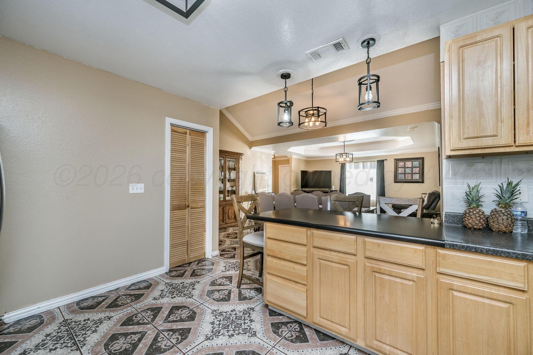 701 GLENNIS Avenue, Cactus, TX 79013, photo 9