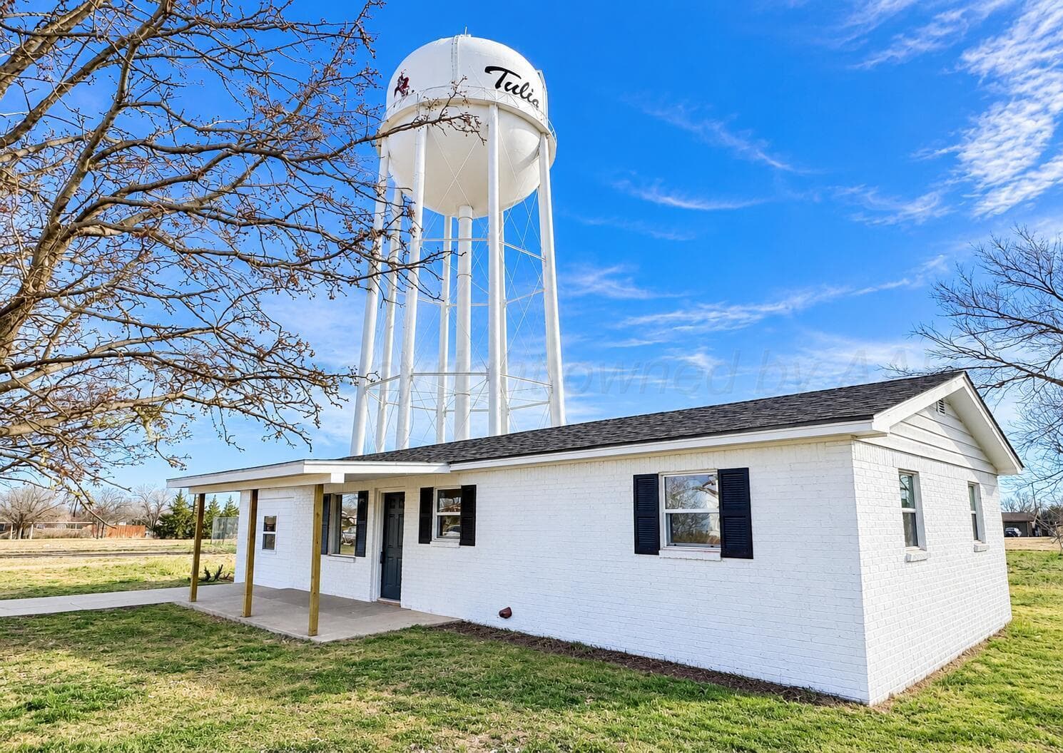 524 N Bowie Avenue, Tulia, TX 79088, photo 11