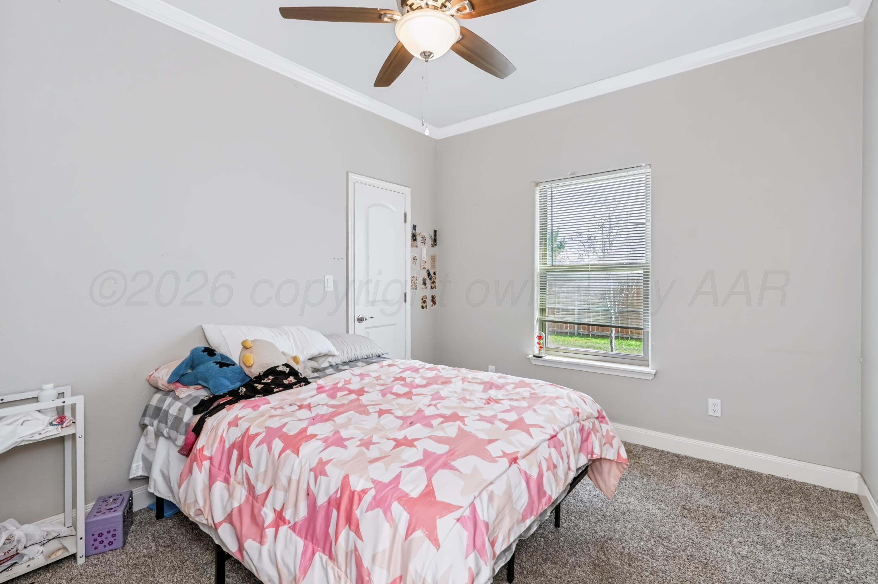 1701 Cactus Flower Road, Dalhart, TX 79022, photo 9