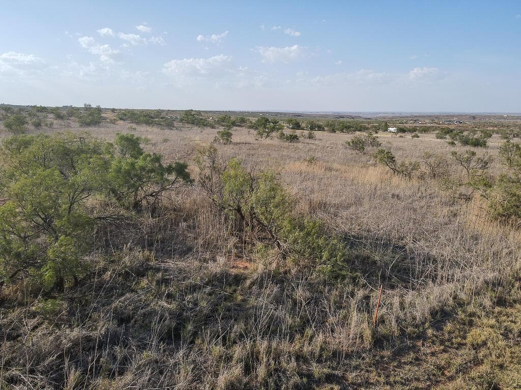 0 Tr 24 DAVISON Drive, Valle de Oro, TX 79124, photo 4