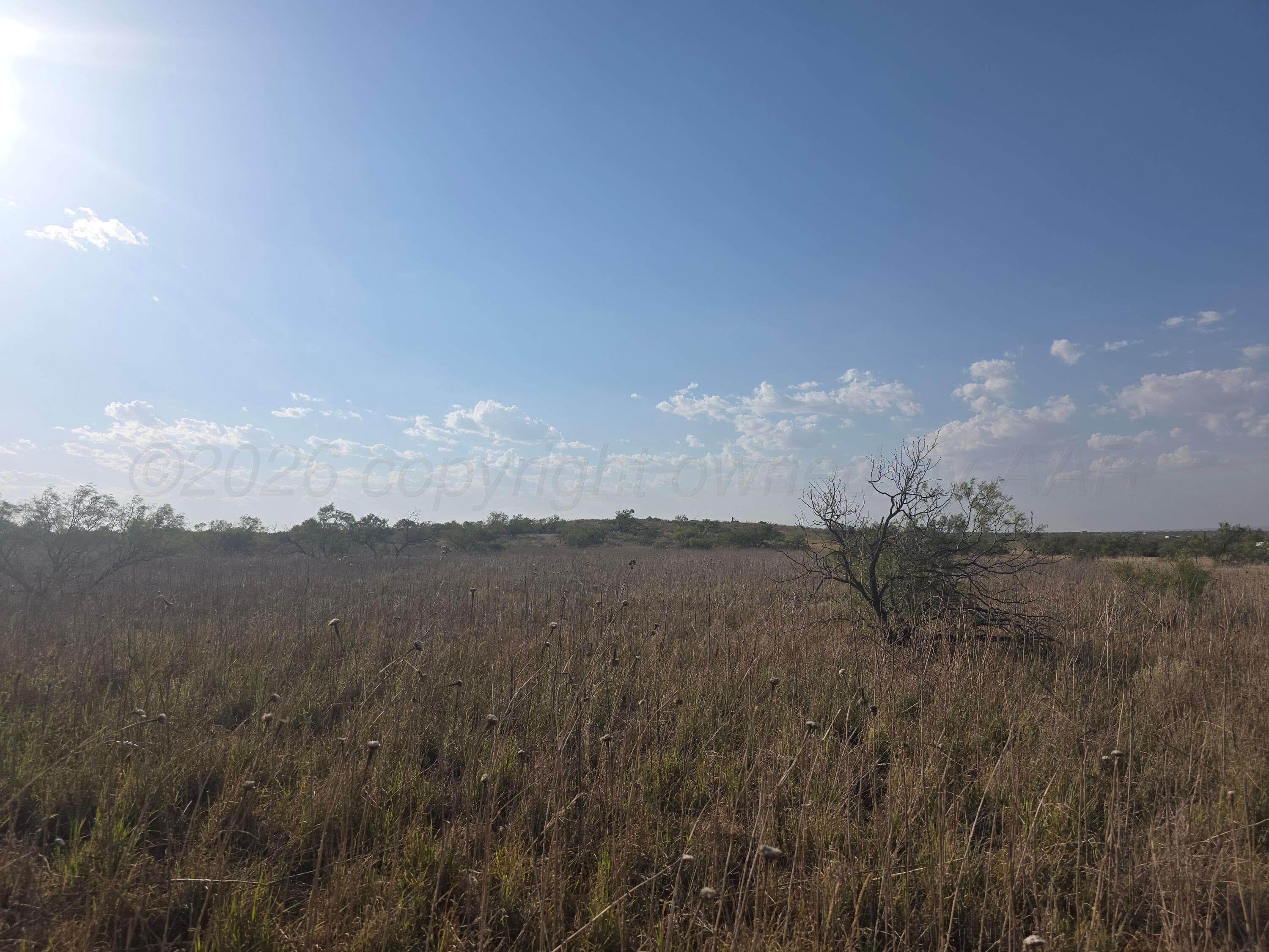 0 Tr 24 DAVISON Drive, Valle de Oro, TX 79124, photo 2