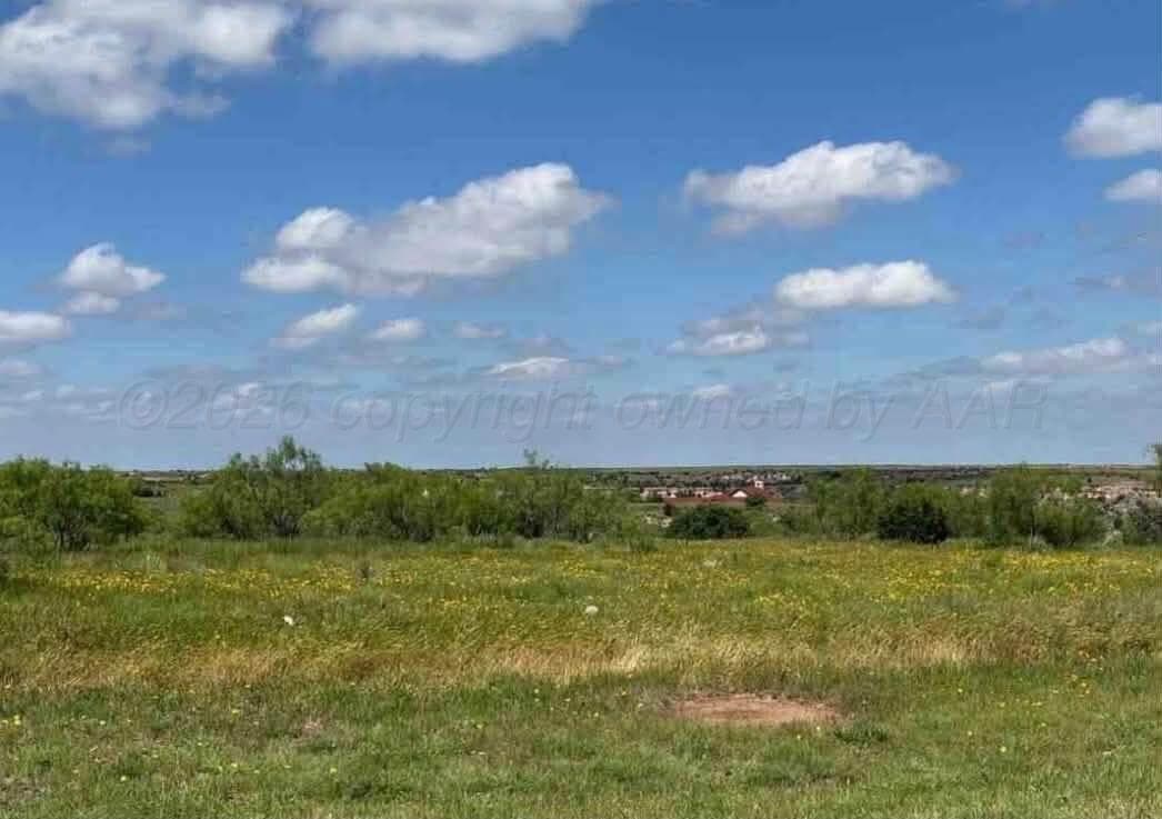 13401 WILD HORSE Trail, Amarillo, TX 79118-4615, photo 9
