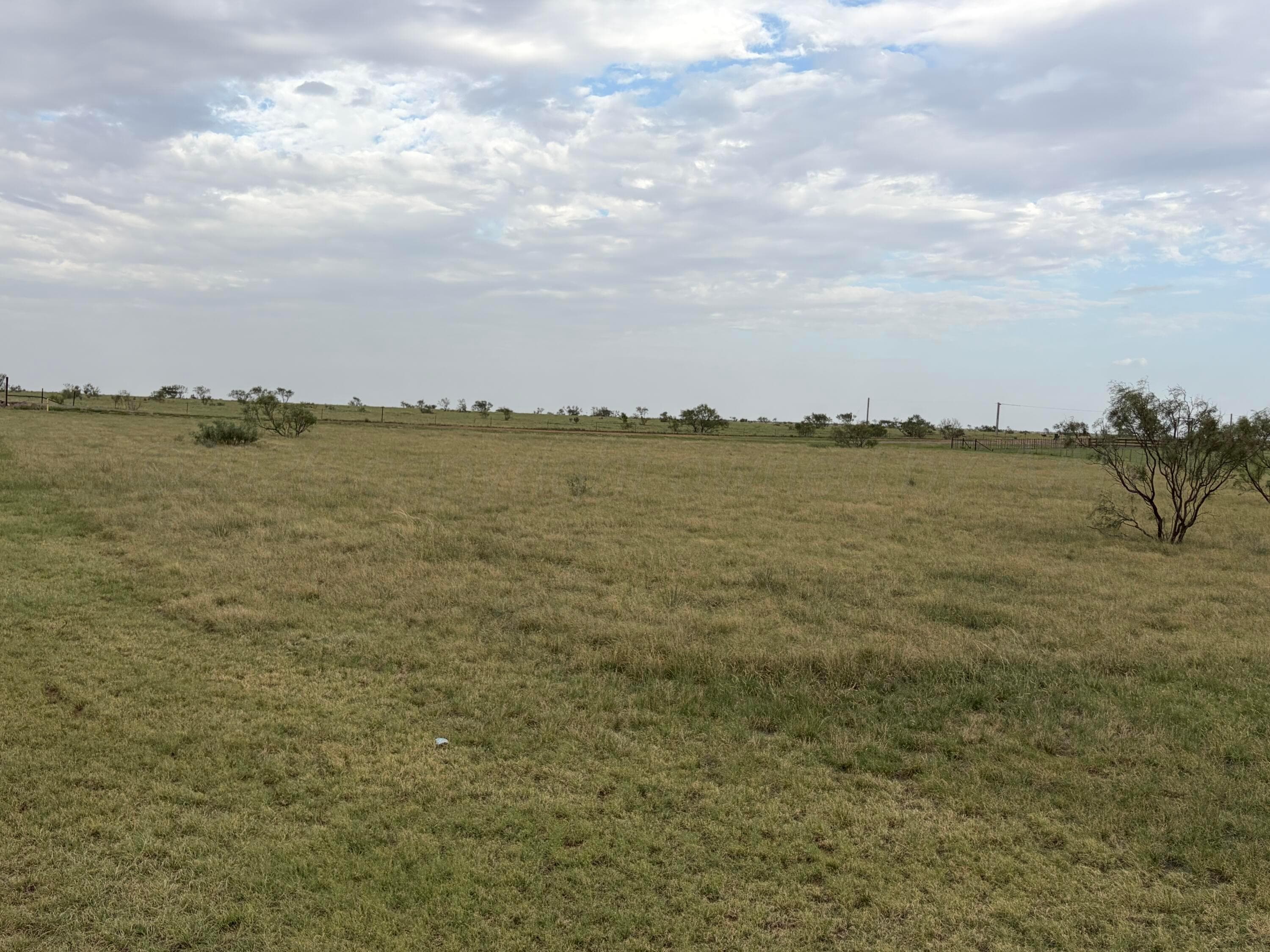13401 WILD HORSE Trail, Amarillo, TX 79118-4615, photo 4